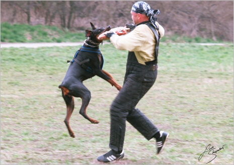 Training in Prague - 2. 4. 2008